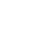 wordpressIcon