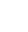 Shopify icon